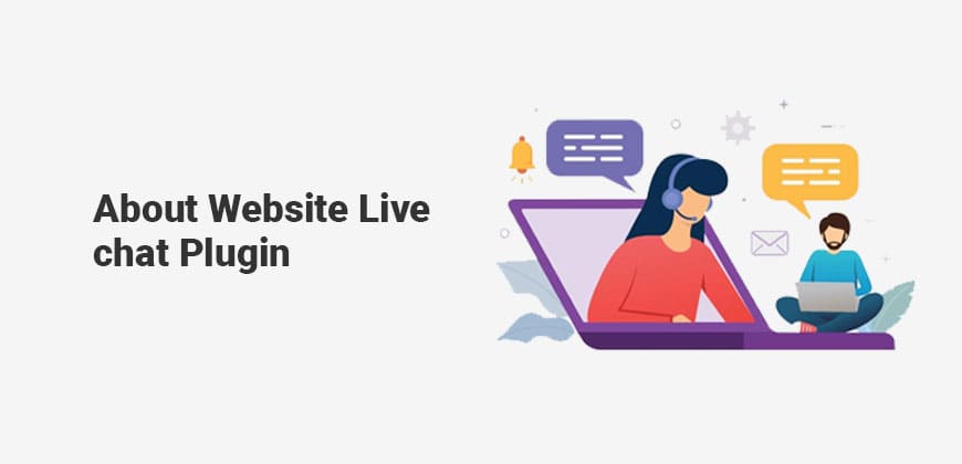 Acerca del complemento de chat en vivo del sitio web