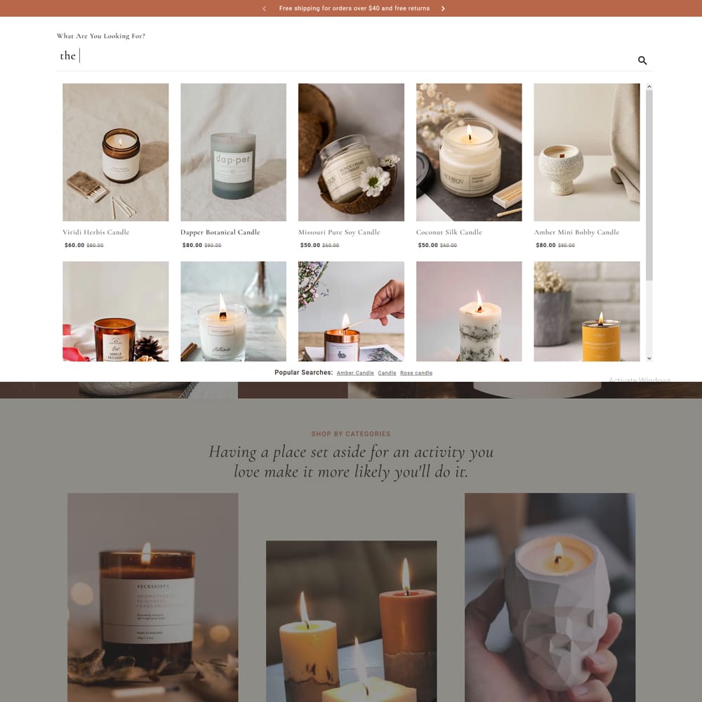 Blissful Amoras - Crafted Shopify Multipurpose Responsive Theme