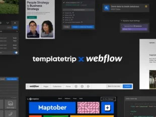 Webflow Website Development
