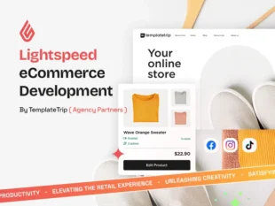 Lightspeed ecommerce Website Development