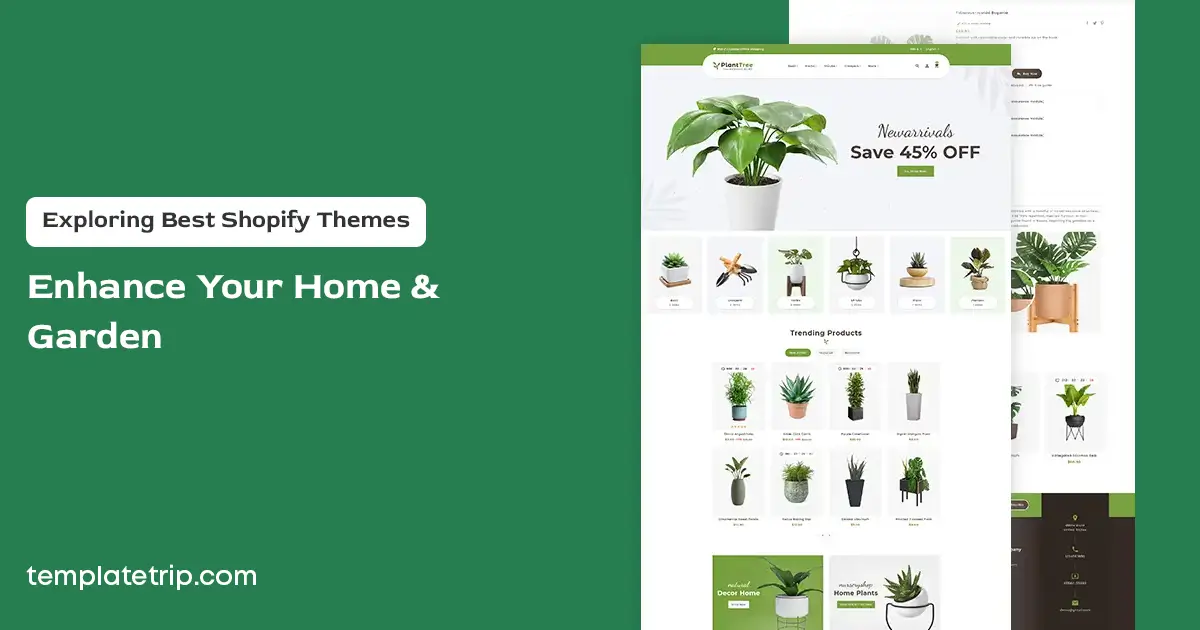 Shopify Themes