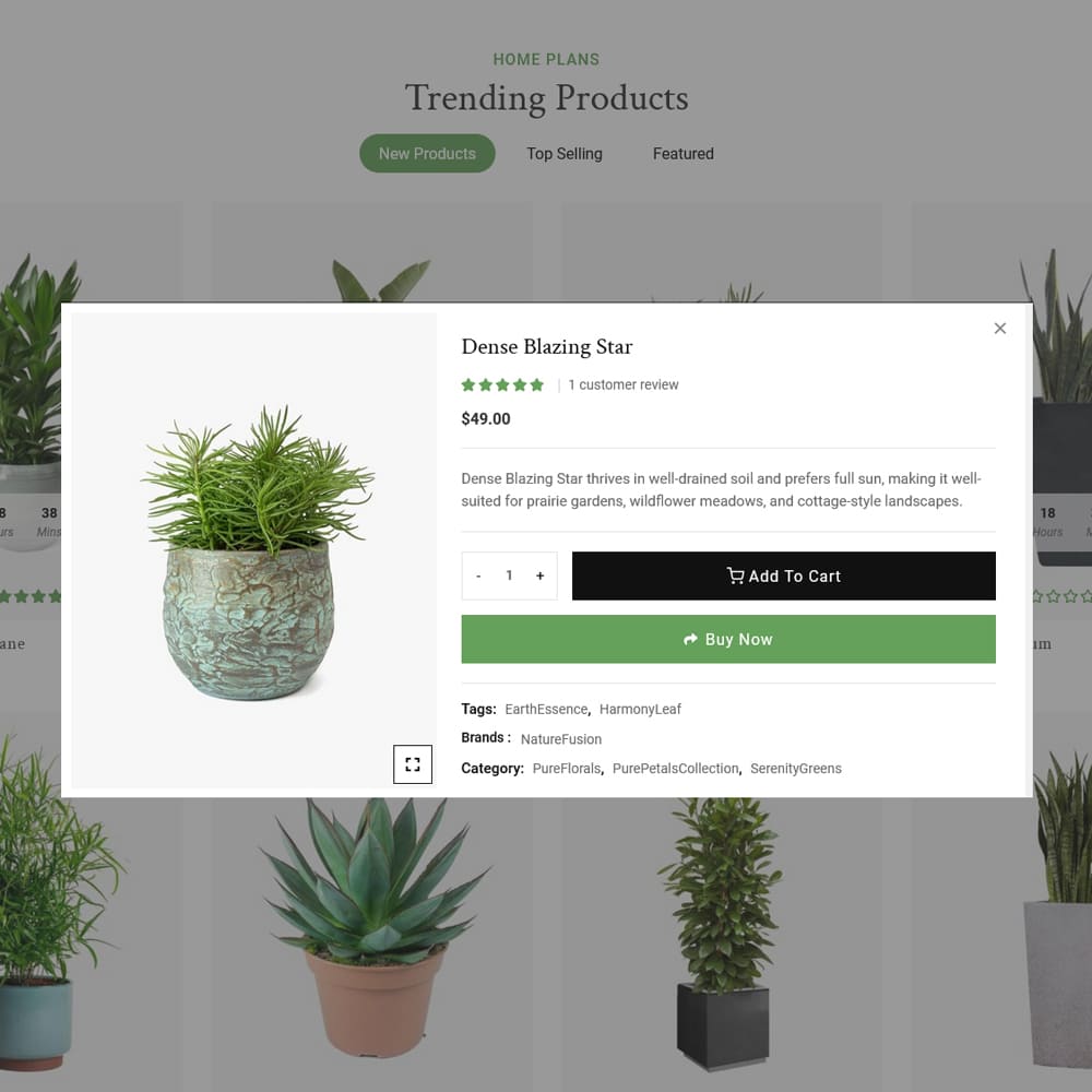 Plantro - WooCommerce Theme specialized for Home & Garden, Plants, Nursery