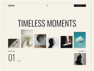 Snapora - Portfolio & Agency Webflow Template